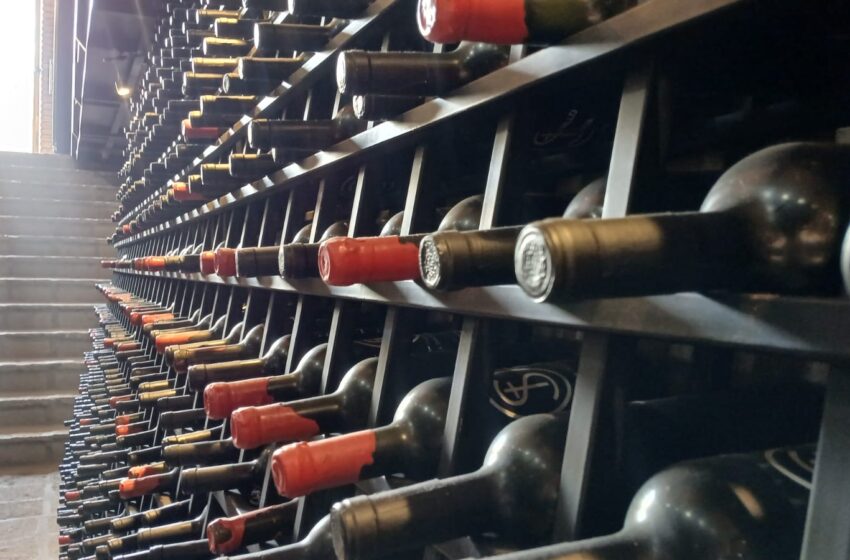  EL ARTE DE ELEGIR UN VINO: INTUICIÓN, ENCUENTRO Y REVELACIÓN