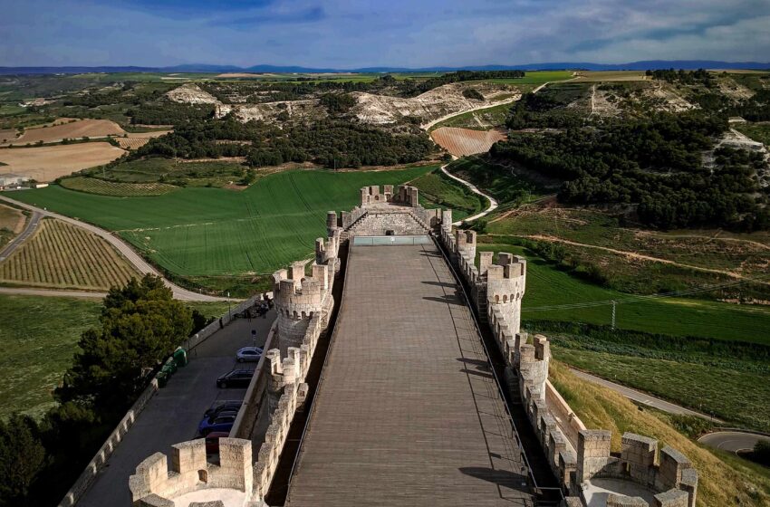  EN EL CORAZÓN DE LA RIBERA DEL DUERO: CASTILLO, VINO Y TRADICIÓN